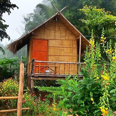 Baan Aingdoi Homestay, Chiang Dao Bagian luar foto