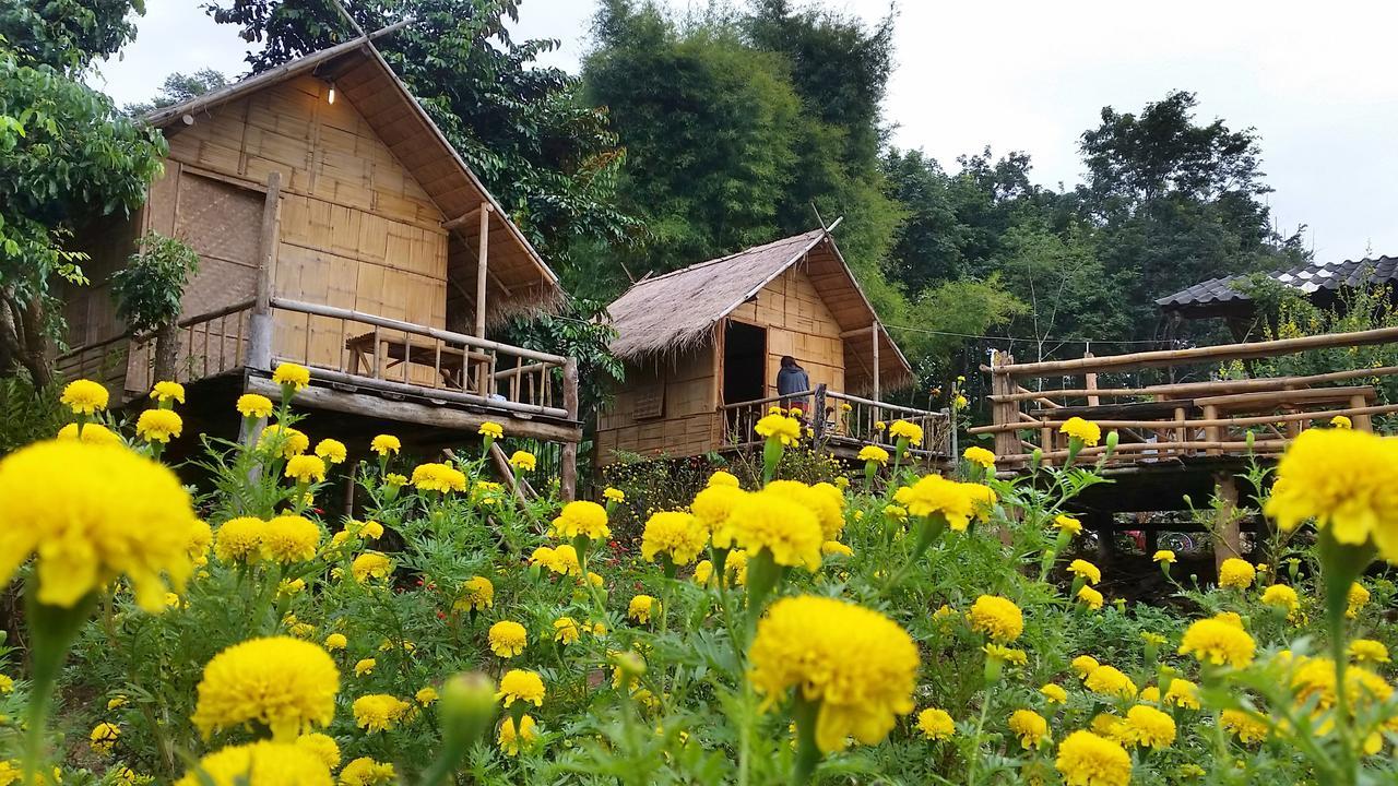 Baan Aingdoi Homestay, Chiang Dao Bagian luar foto