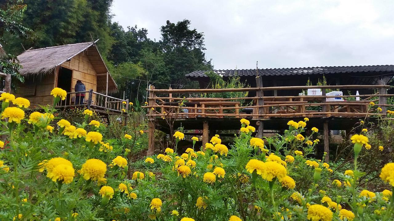 Baan Aingdoi Homestay, Chiang Dao Bagian luar foto