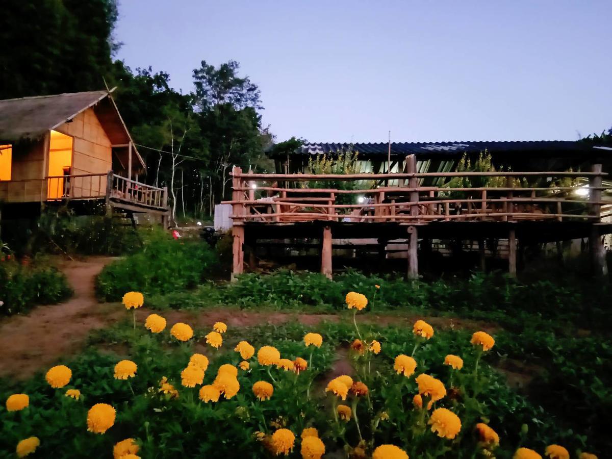 Baan Aingdoi Homestay, Chiang Dao Bagian luar foto