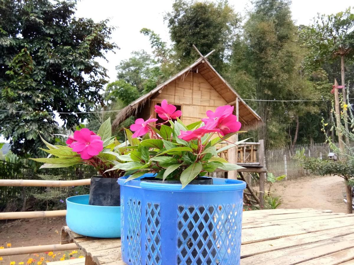 Baan Aingdoi Homestay, Chiang Dao Bagian luar foto