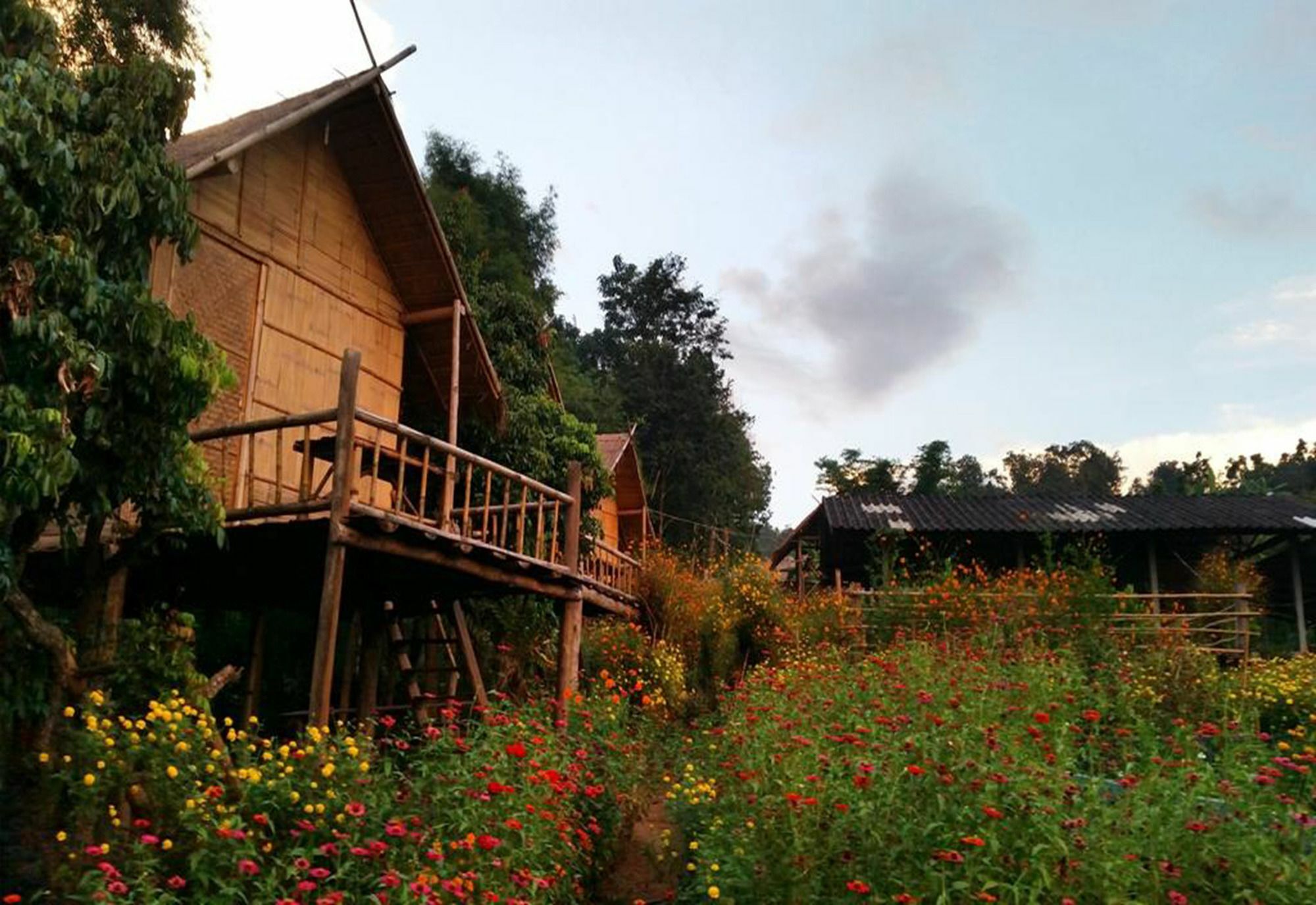 Baan Aingdoi Homestay, Chiang Dao Bagian luar foto