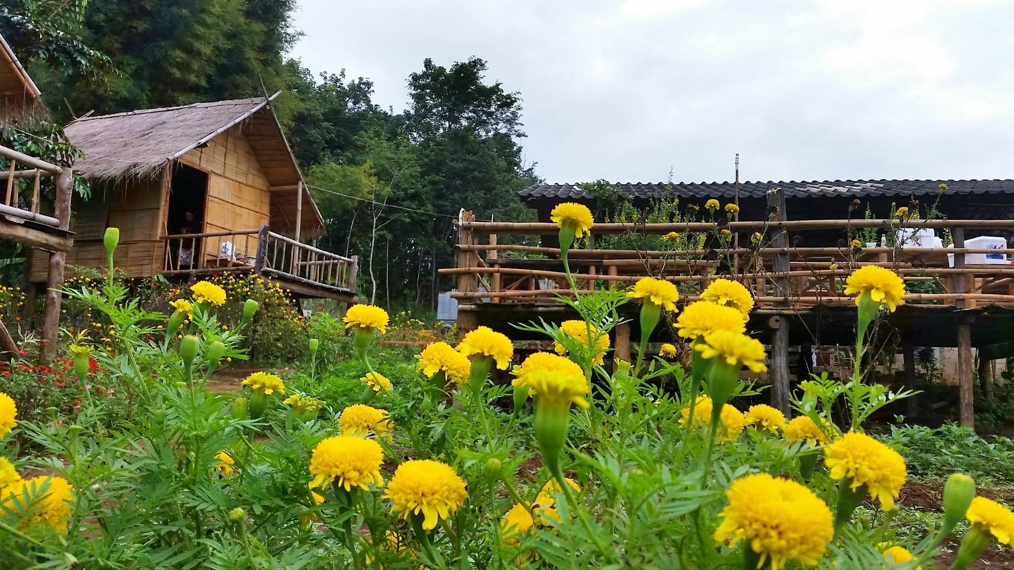 Baan Aingdoi Homestay, Chiang Dao Bagian luar foto