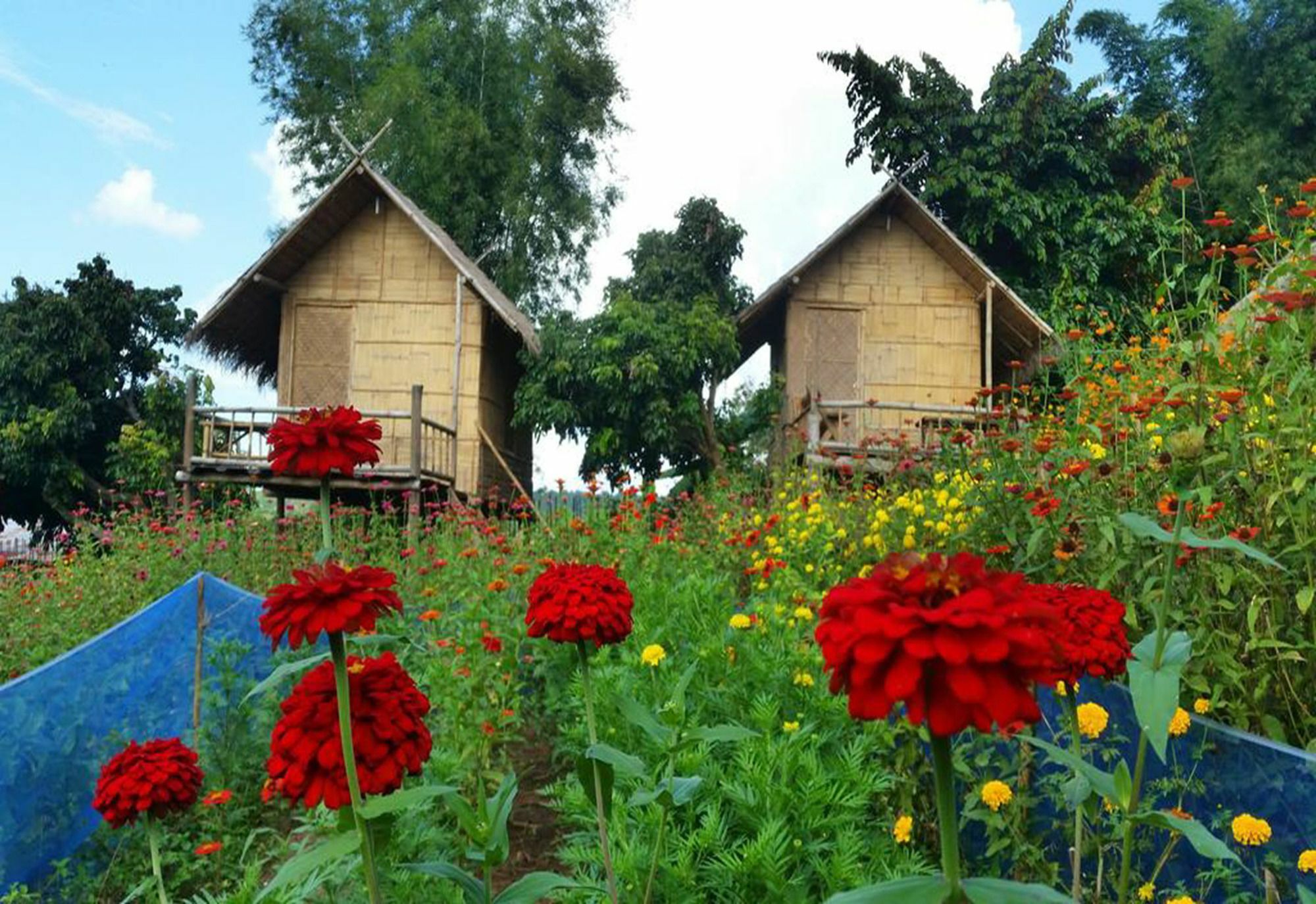 Baan Aingdoi Homestay, Chiang Dao Bagian luar foto