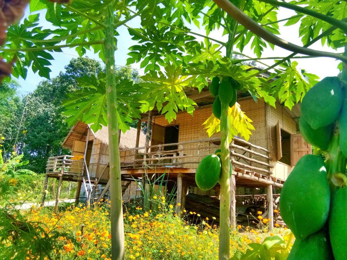 Baan Aingdoi Homestay, Chiang Dao Bagian luar foto