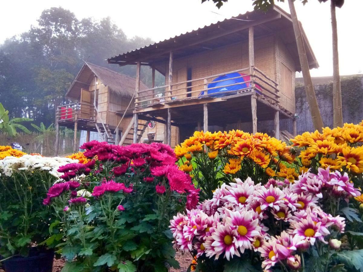 Baan Aingdoi Homestay, Chiang Dao Bagian luar foto