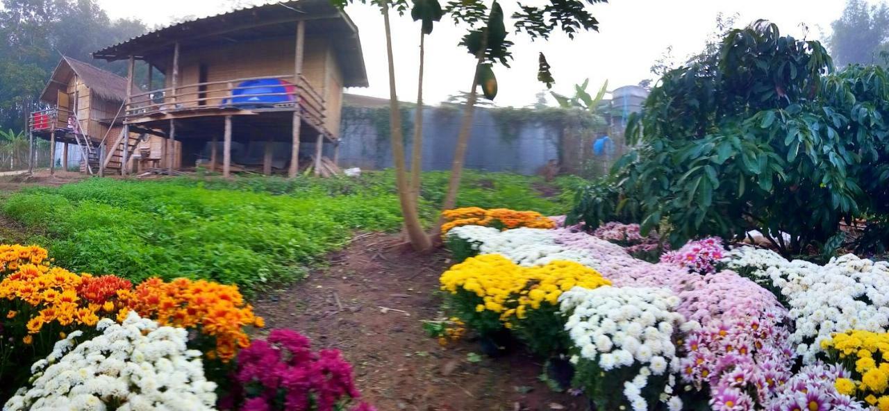 Baan Aingdoi Homestay, Chiang Dao Bagian luar foto