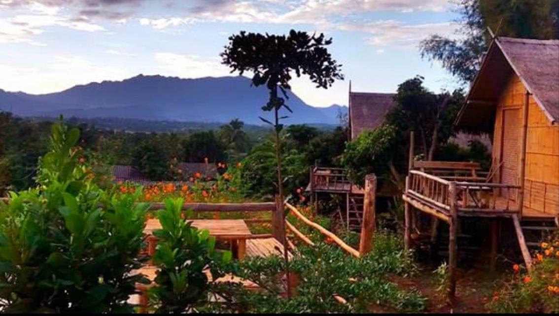 Baan Aingdoi Homestay, Chiang Dao Bagian luar foto