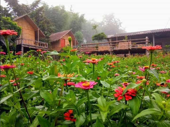 Baan Aingdoi Homestay, Chiang Dao Bagian luar foto
