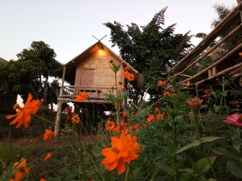 Baan Aingdoi Homestay, Chiang Dao Bagian luar foto