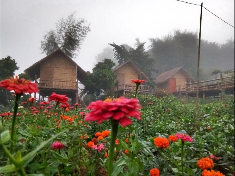 Baan Aingdoi Homestay, Chiang Dao Bagian luar foto